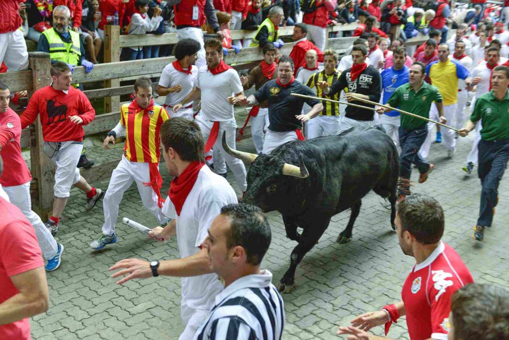 Why celebrate the San Fermin Festival in Spain and let's know the Bull Run rule