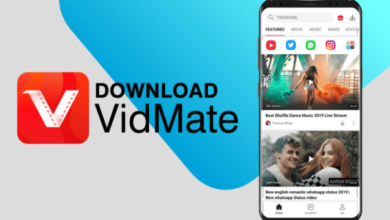 Photo of Why Vidmate is loved by millions and what are its different functions?