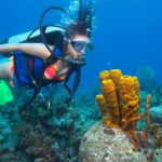 Traveling experience about snorkeling tour